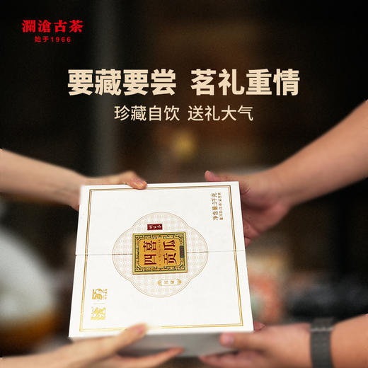 澜沧古茶2021年55周年四喜贡瓜（二季）邦崴金瓜普洱茶生茶金瓜1000g 商品图1