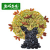 【喀什扶贫】西域果园三彩葡萄干300g*2 商品缩略图1