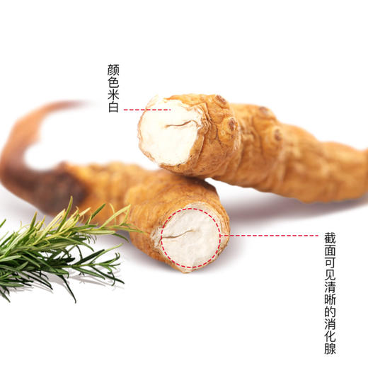 福东海 冬虫夏草断草 1克 虫草干货高海拔雪山虫草 精选品质 商品图2