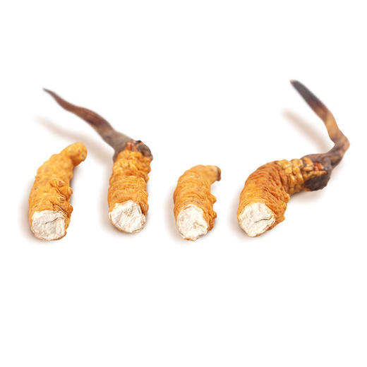 福东海 冬虫夏草断草 1克 虫草干货高海拔雪山虫草 精选品质 商品图3