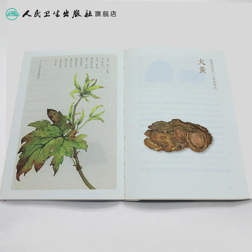 本草：生长在时光的柔波里  9787117233156 商品图3