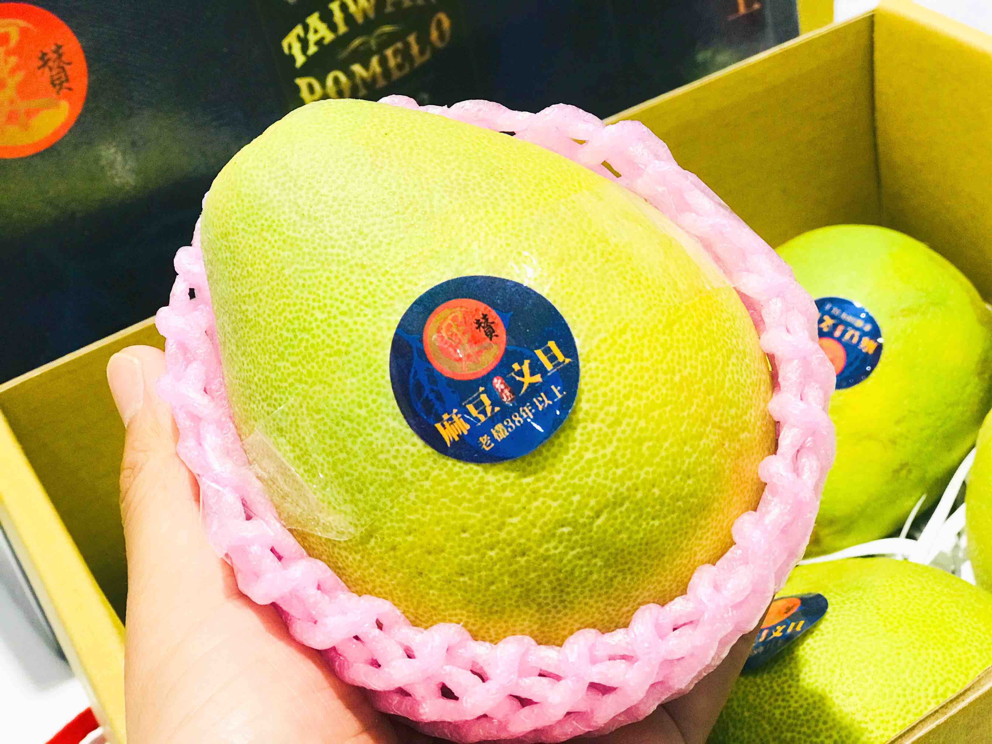 正宗-台湾老树麻豆文旦——颠覆你对柚子的印象,越丑越好吃的麻豆文旦