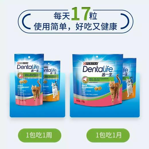 齿一生 猫咪零食洁牙饼干磨牙饼干 鸡肉味/三文鱼味 风车车同款 【成猫零食】170g一包够吃一个月 商品图2