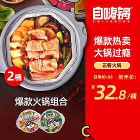 自嗨锅 自热火锅2桶装（微麻辣肥牛+部队锅 ）