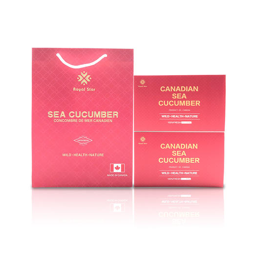 进口加拿大淡干海参开口参1磅/盒 # 宁波仓 商品图5