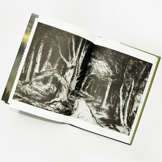 浪漫地理学：追寻崇高景观 商品图9