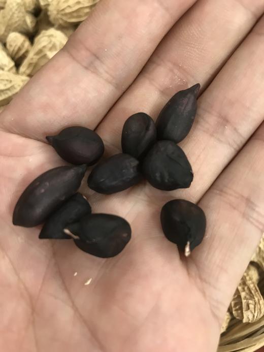 云南干黑花生、七彩花生、 颗粒饱满 香甜， 满88包邮 商品图4