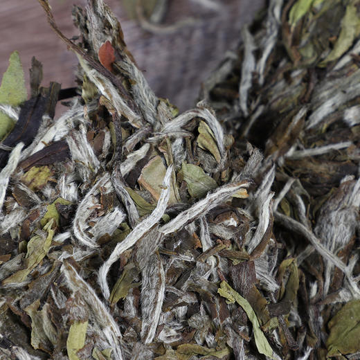 中秋好礼丨大廷工坊，2020年白牡丹，国标制茶，白毫满披，蜜韵花香 商品图1