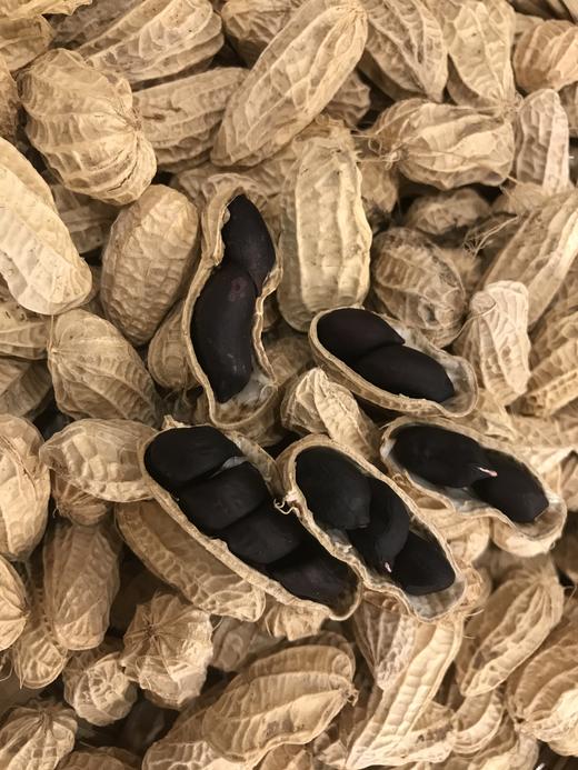 云南干黑花生、七彩花生、 颗粒饱满 香甜， 满88包邮 商品图7