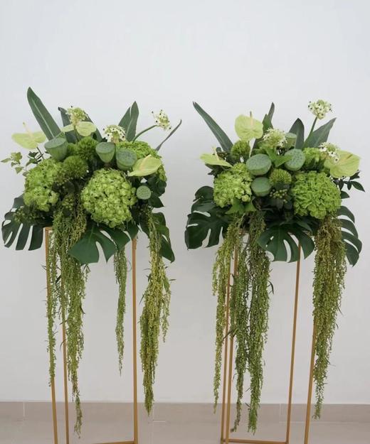 【不屈不挠】柔丽丝（情人泪） 5支/扎  多色可选 商品图7