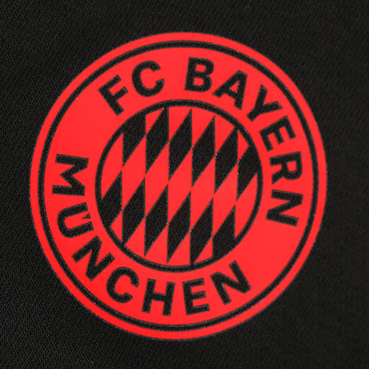 ADIDAS/阿迪达斯拜仁套头卫衣男GR0666 商品图2