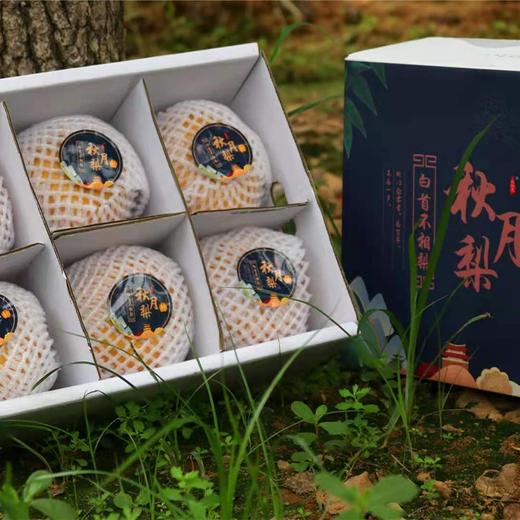 秋月梨 商品图3