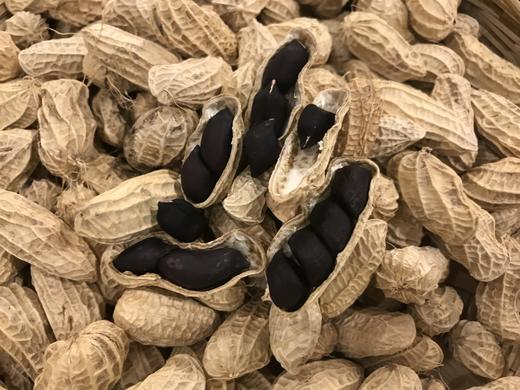 云南干黑花生、七彩花生、 颗粒饱满 香甜， 满88包邮 商品图9