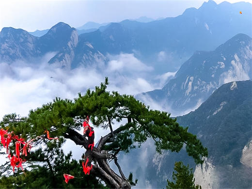 元旦3日【西安华山】梦回长安城-观黄河之瀑-登华山之巅-游秦兵马俑 商品图1