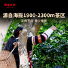 澜沧古茶2021年55周年四喜贡瓜（二季）邦崴金瓜普洱茶生茶金瓜1000g 商品缩略图2