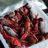 生态小龙虾（熟食） | 合作生产 * Eco- Red Swamp Crawfish（delicatessen） | Coproduction 商品缩略图3