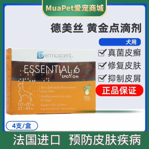 法国德美丝黄金点滴剂狗狗宠物皮肤病真jun皮屑掉毛除臭外用 商品图0