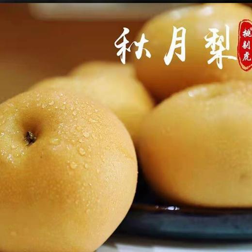 秋月梨 商品图0