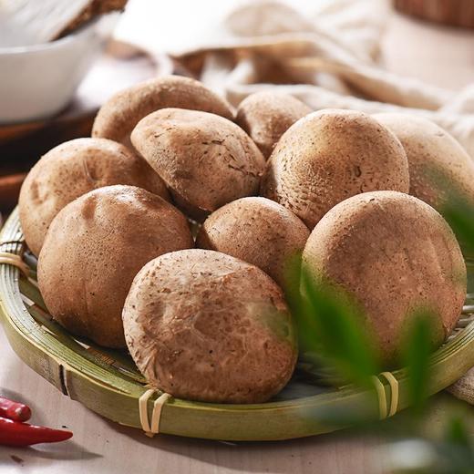 香菇 约200g/份 商品图2