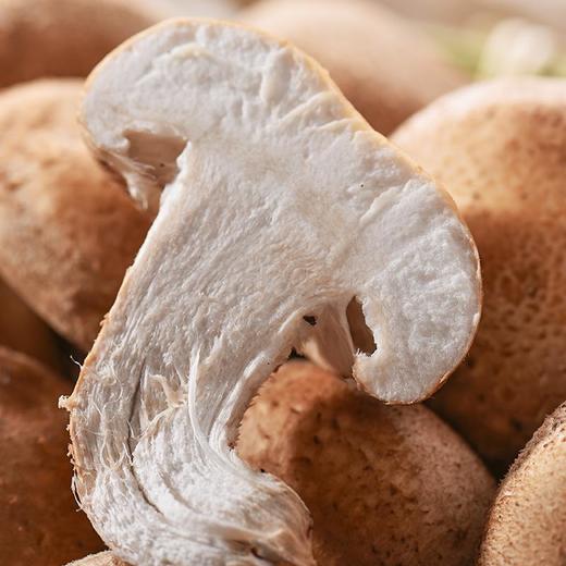 香菇 约200g/份 商品图3