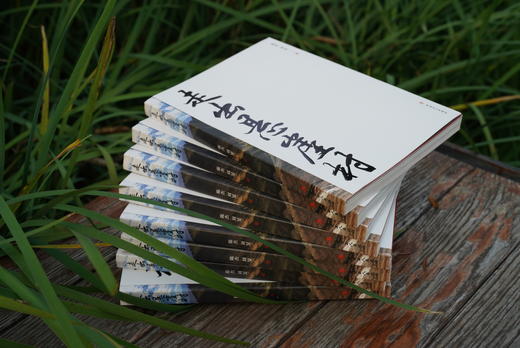 走出悬崖村 商品图3