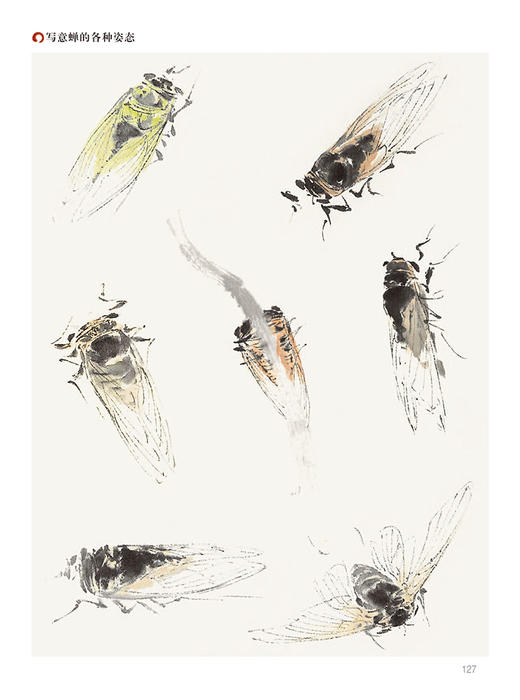 养心斋国画技法详解-写意花鸟草虫卷 商品图6