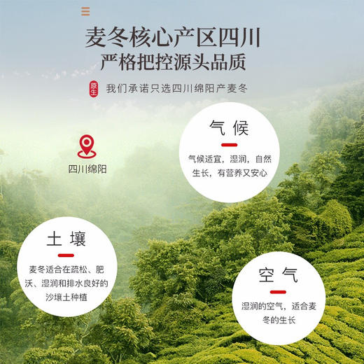 【速发】福东海 麦冬茶250g 四川麦冬麦门冬 罐装养生茶黄芪沙参玉竹枸杞 商品图4