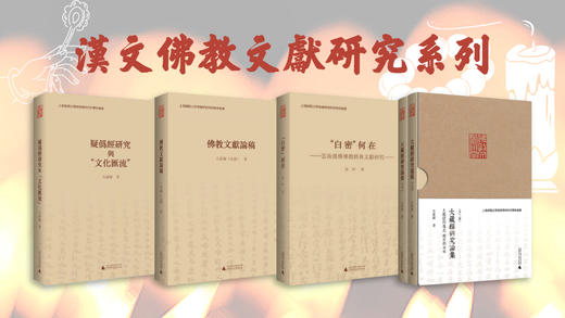 汉文佛教文献研究系列 商品图0