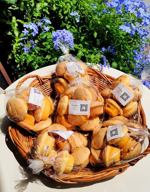 无水提子蛋糕 商品图0