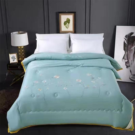 【139元/床】东阳莫代尔双人春秋被200*230（1223871）颜色随机 商品图2