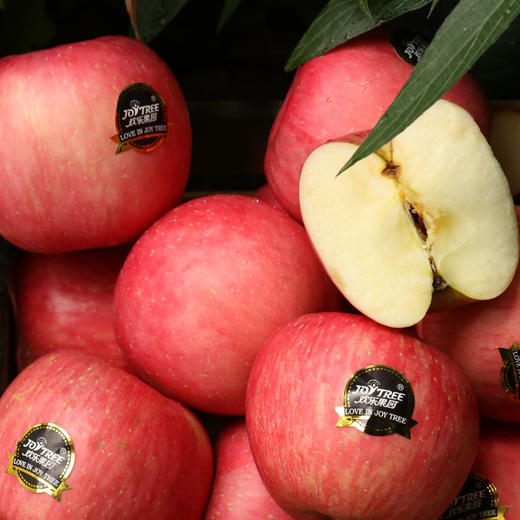 【欢乐果园】山东富士黑标4.5斤大果礼盒装 商品图2