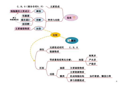 图图释道——高中生物思维导图（必修模块） 商品图2
