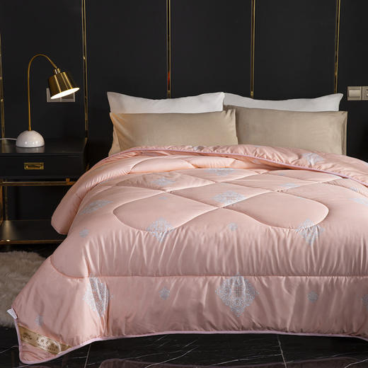 【现货速发】时尚风秋冬款榨蚕丝被 商品图2