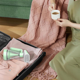 春花 手持挂烫机 CY-H810