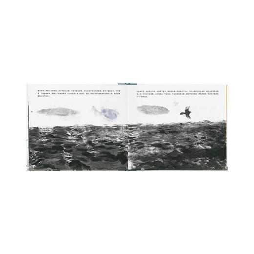 《当喜鹊国王失去白羽毛》 商品图4