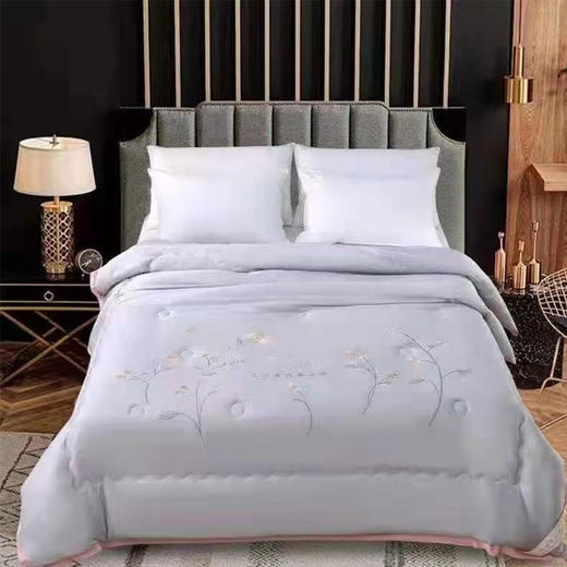 【139元/床】东阳莫代尔双人春秋被200*230（1223871）颜色随机 商品图0