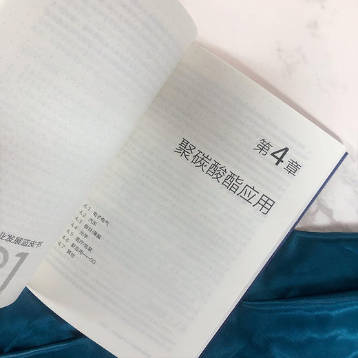 中国聚碳酸酯行业发展蓝皮书（2021） 商品图5