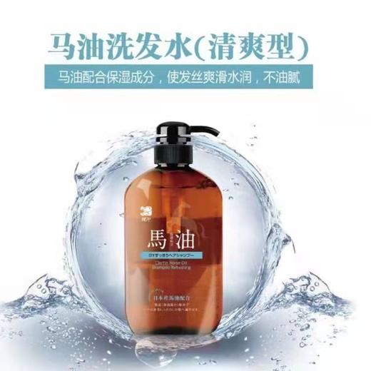日本进口蝶印牌 马油洗发水(清爽型)600mL 商品图1