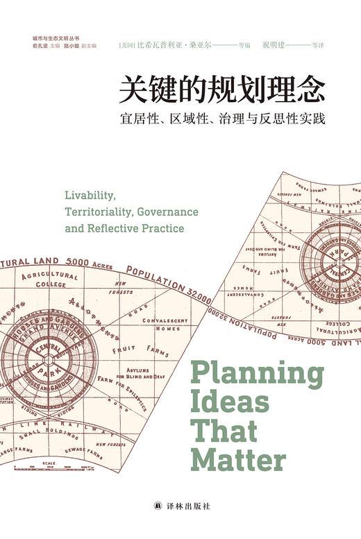 关键的规划理念：宜居性、区域性、治理与反思性实践 商品图2