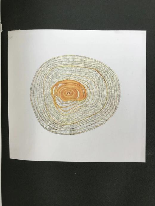 1915年 生命的奇迹 100幅插图（含12幅彩色贴图） 漆布精装大32开 商品图11