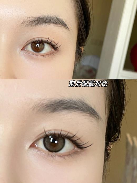 兔尾草| 半年抛 | 商品图3