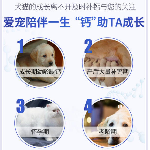 MAG液体钙 猫狗通用 220ML 快速补钙易吸收 商品图3