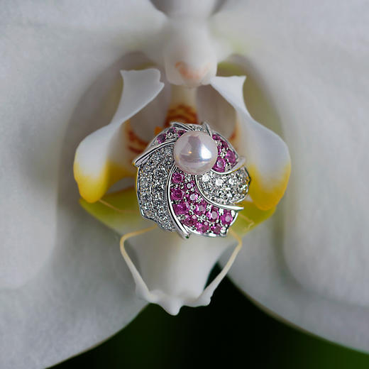 LUCINE高级珠宝｜《蝶语》耳拍 商品图2