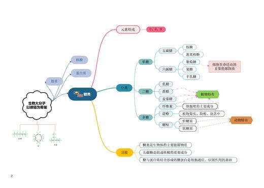 图图释道——高中生物思维导图（必修模块） 商品图3