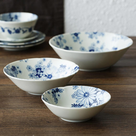 【样品清仓】日本美浓烧陶瓷有古窑餐具花聚会16件套装 商品图2