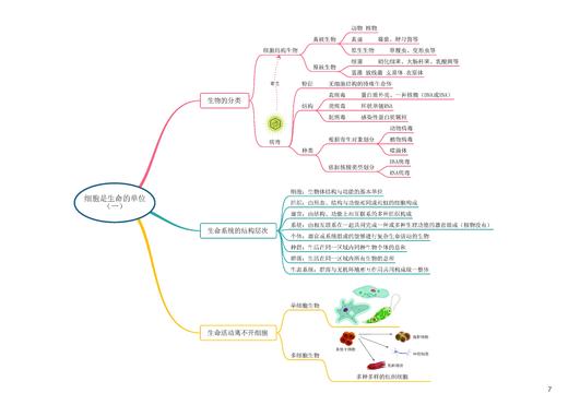 图图释道——高中生物思维导图（必修模块） 商品图1