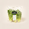 雅翠堡水晶罗马生菜 300g 商品缩略图0