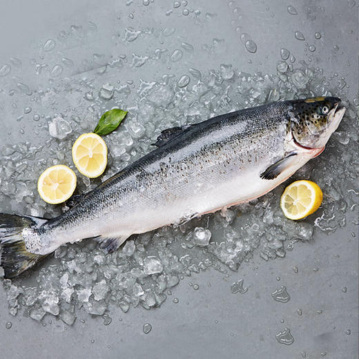 三文鱼切块 去皮去刺 大西洋鲑鱼 富含omega-3 两包包邮装 |百里食 0325 商品图3