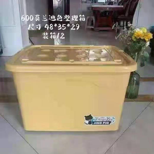 【29元/个】宣意美家收纳箱600L（1115965） 商品图0