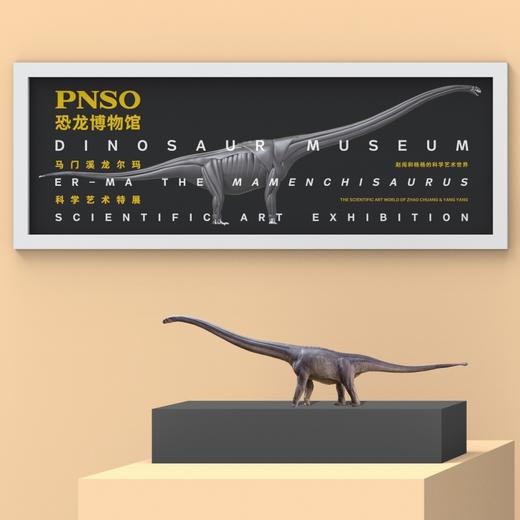 PNSO马门溪龙尔玛恐龙博物馆1比45科学艺术模型 商品图2